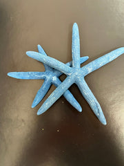 Aqua Blue Starfish - StarfishLoving Coastal Living