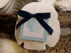 Arrowhead Sand Dollar Wedding Favors with Custom Escort Card - Wedding favorsLoving Coastal Living