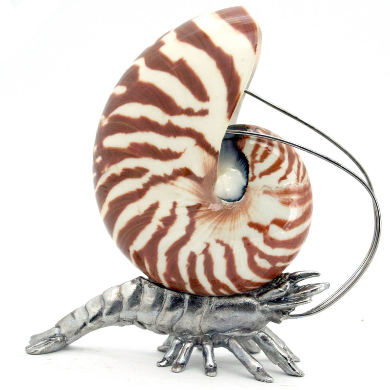 Pewter Shrimp Nautilus Shell