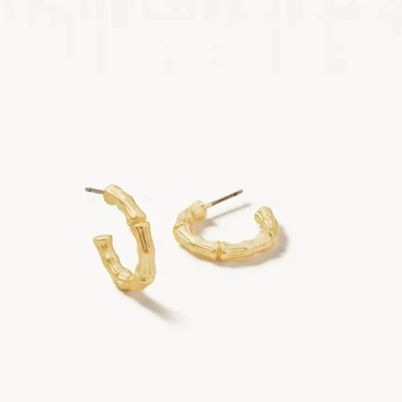 Bamboo Hoop Earrings - JewelrySPARTINA 449