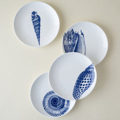 Blue Shells Dinnerware & Serving Pieces - DishesCaskata