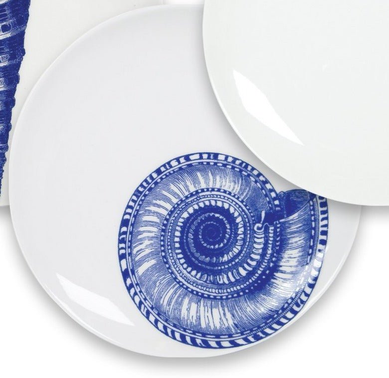 Blue Shells Dinnerware & Serving Pieces - DishesCaskata