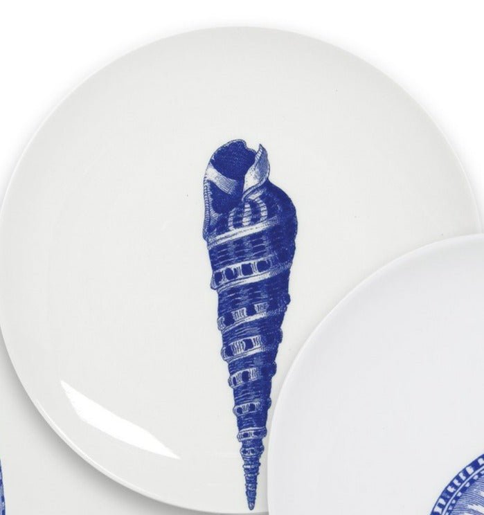 Blue Shells Dinnerware & Serving Pieces - DishesCaskata