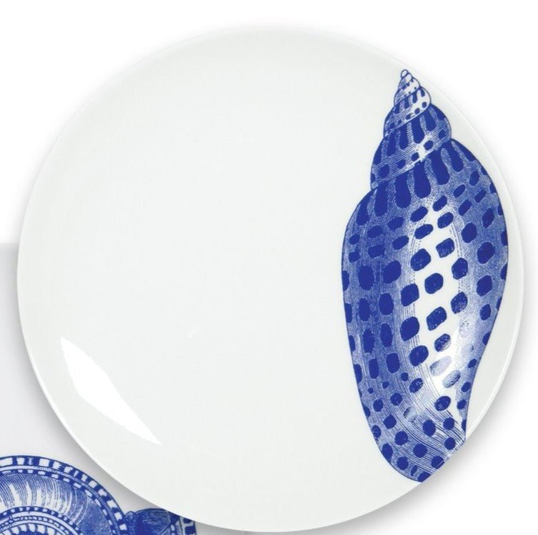 Blue Shells Dinnerware & Serving Pieces - DishesCaskata