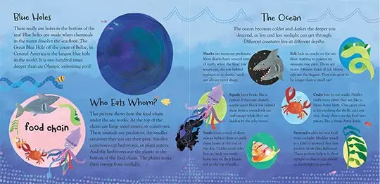 A Hole in the Bottom of the Sea, Children's Book