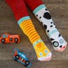 Cat & Dog | Kids & Adult Socks | Collectible Mismatched Crazy Socks - ApparelPals Socks