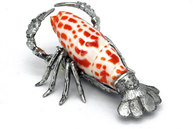 Terebra Lobster