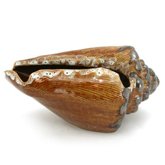 Ceramic Conch Shell - Accent DecorModern Coastal by Contrast Inc.