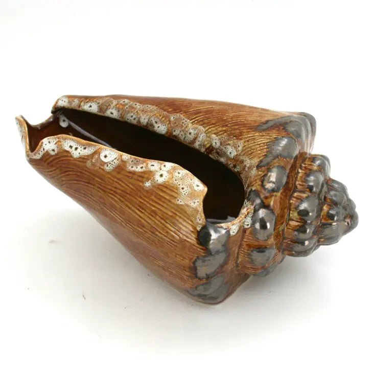 Ceramic Conch Shell - Accent DecorModern Coastal by Contrast Inc.