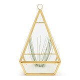 Conservatory Frosted Brass Ornament - Large & Small - Accent DecorDemdaco