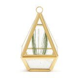 Conservatory Frosted Brass Ornament - Large & Small - Accent DecorDemdaco