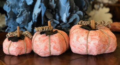 Coral Sea Fan Fabric Pumpkin - 3 Sizes - Accent DecorLoving Coastal Living