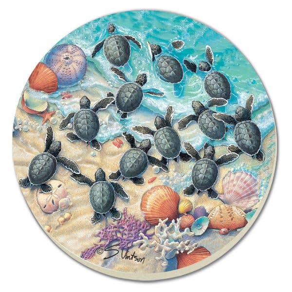 Turtle Hatchlings Round Absorbent Stone Coaster 4pk