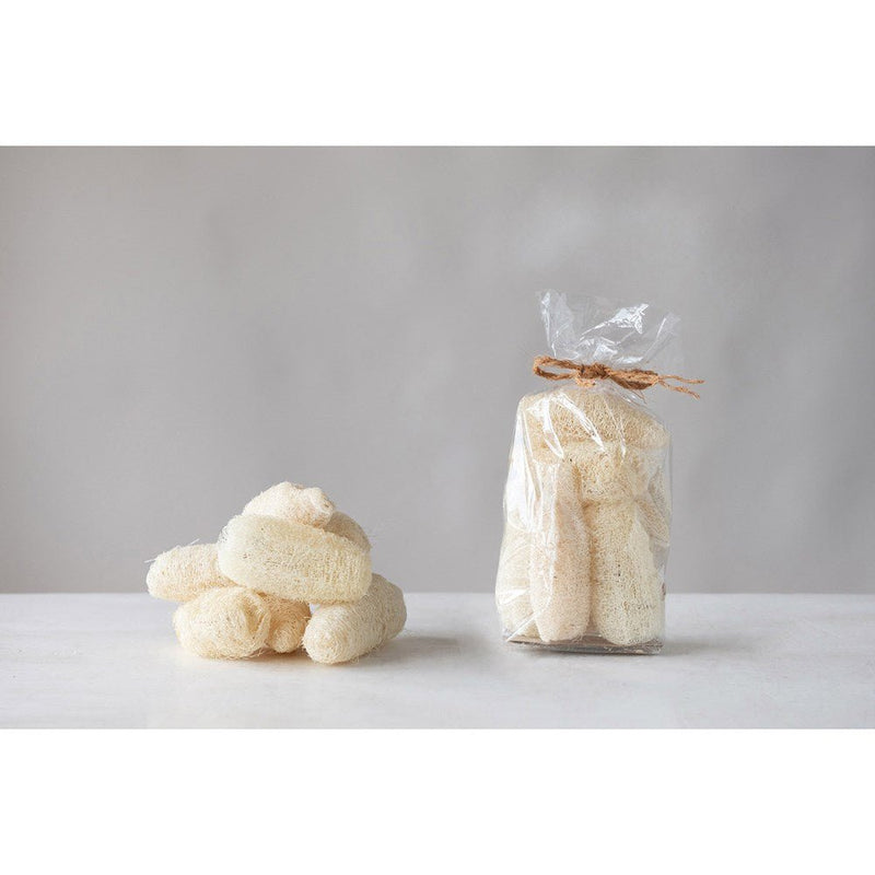 Dried Natural Sponge Gourd in Bag, Bleached - Bath & BeautyCreative Co - Op