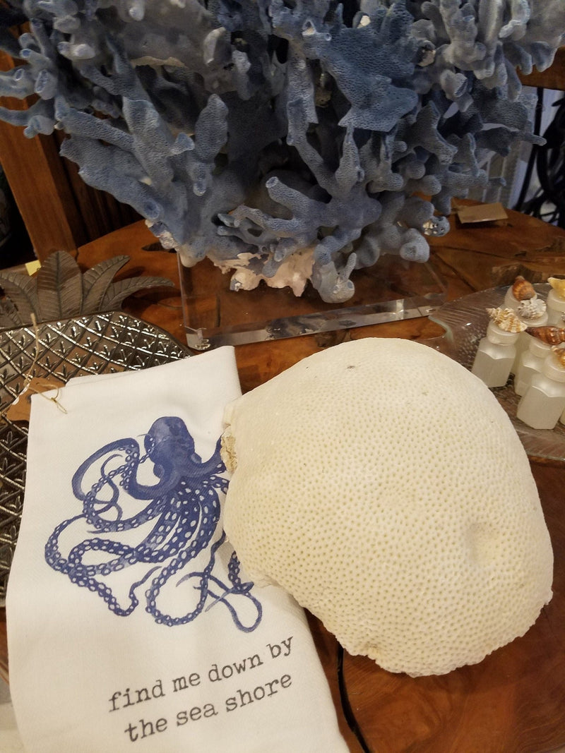 Extra Large Vintage Brain Coral - 9.5" - coralTideline
