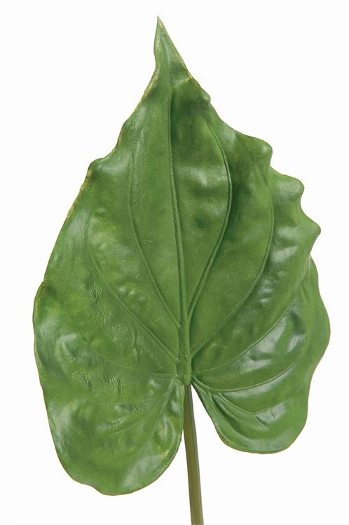 Faux Calla Leaf - 26" - Accent DecorAdV