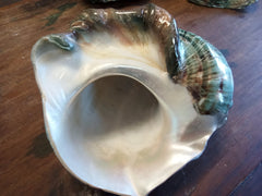 Giant Green Marmoratus Turban Shell - ShellsLoving Coastal Living