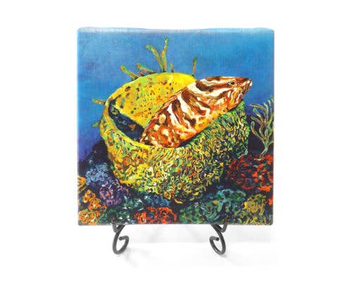 Grouper In A Basket Mini Giclee - Home DecorKim Rody Creations LLC