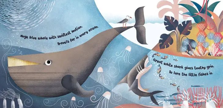 Home for a Penguin, Home for a Whale - Explore the Ocean Book - Just for KidsBarefoot Books