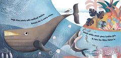 Home for a Penguin, Home for a Whale - Explore the Ocean Book - Just for KidsBarefoot Books