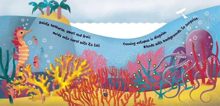 Home for a Penguin, Home for a Whale - Explore the Ocean Book - Just for KidsBarefoot Books