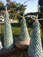 Blue Green Limpet Shell Tree