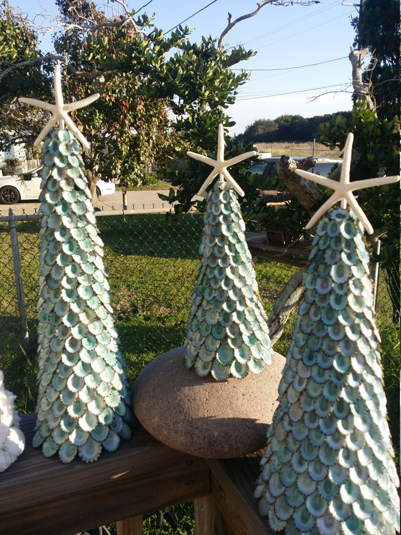 Limpet Shell Tree with White Starfish Top