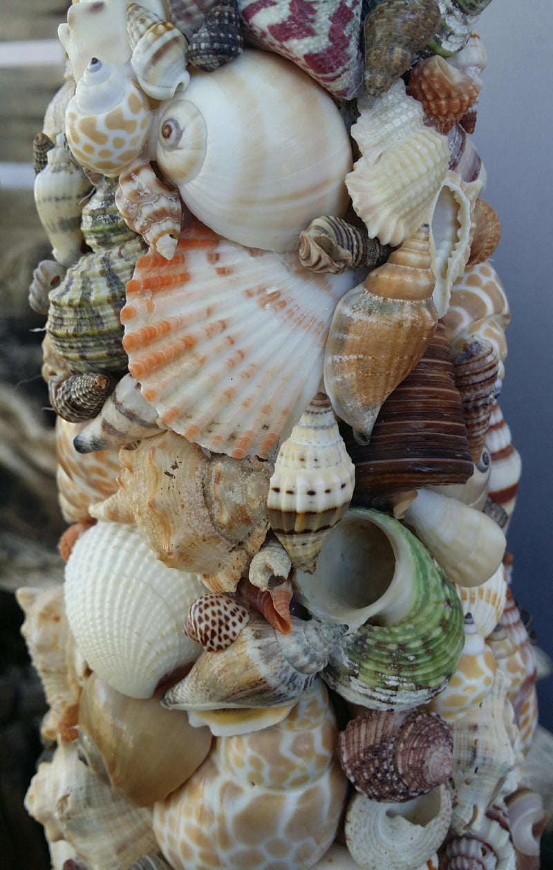 Shell Tree Mixed Seashells with Starfish Top