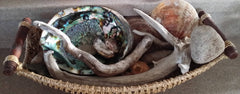 Natural Green Abalone Shell