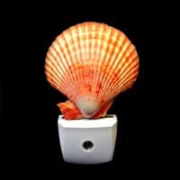 Orange Pectin Nobilis Shell LED Night Light
