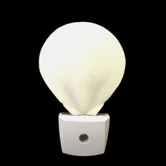 White Sun Moon Scallop Shell LED Night Light