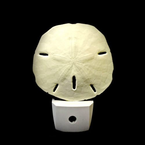 Traditional Sand Dollar LED Shell Night Light