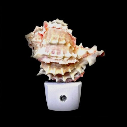 Pink & White Murex Shell LED Night Light