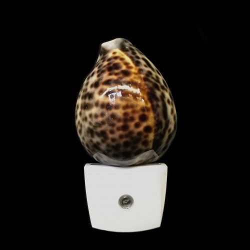 Polished Tiger Cowrie Shell LED Night Light