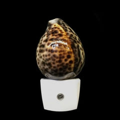 Polished Tiger Cowrie Shell LED Night Light