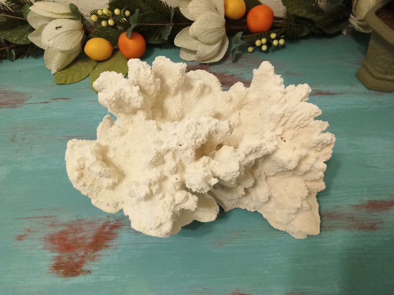 Vintage White Coral- 14"