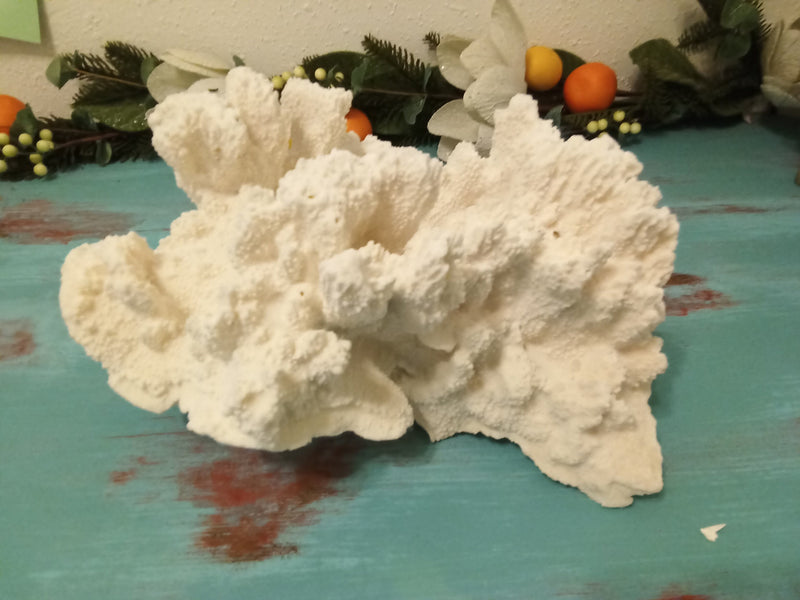 Vintage White Coral- 14"
