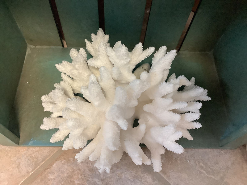 Vintage White Branch Coral- 10.5"