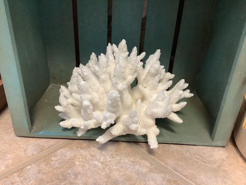 Vintage White Branch Coral- 10.5"
