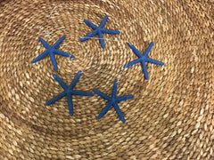 Natural Blue Finger Starfish Garland for Coastal DIY Do it yourself Decorating/ Starfish on String Garland/ Mantle Decor Display Theme SEA
