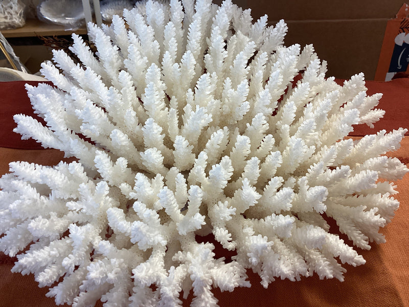 Vintage White Table Coral