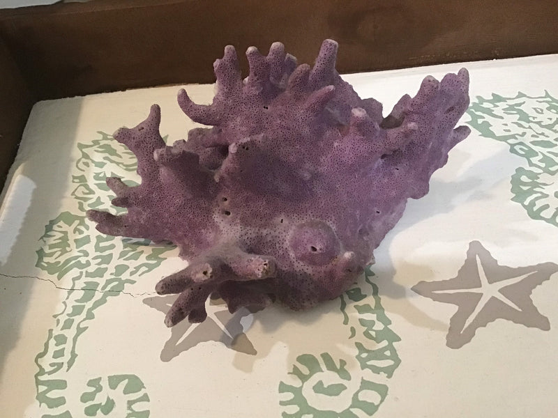 Rare Vintage Purple Coral- 6.75"