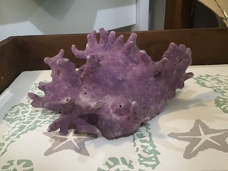Rare Vintage Purple Coral- 6.75"