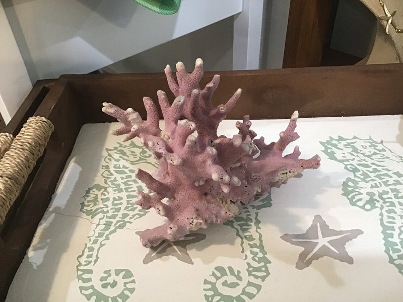 Rare Vintage Pink Coral- 6"