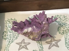 Rare Vintage Purple Coral- 6.75