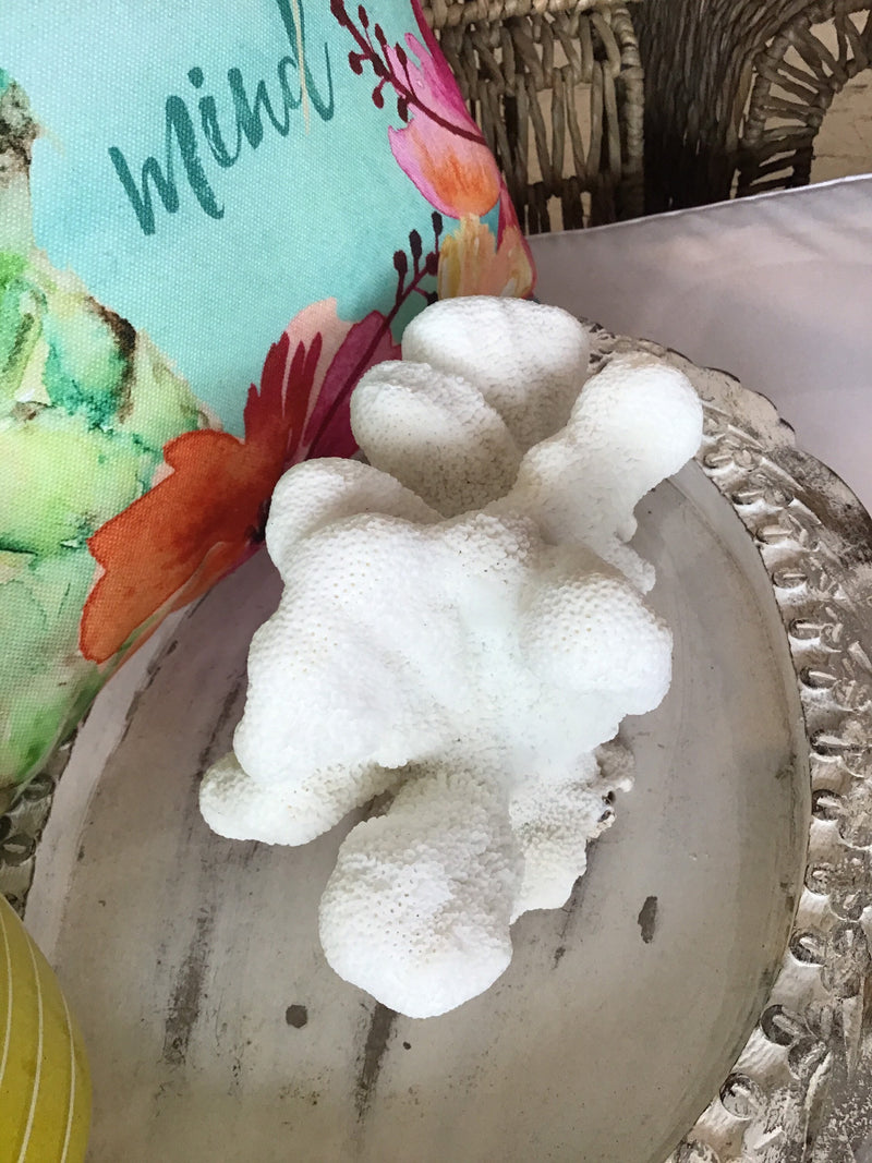 Vintage White Catspaw Coral- 8.5"