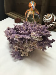 Super RARE Vintage Purple Hydrocoral Coral