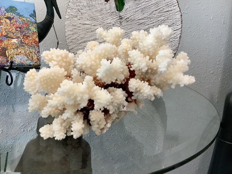 Vintage Brown Stem Coral- 9"