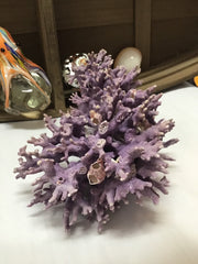 Super RARE Vintage Purple Hydrocoral Coral