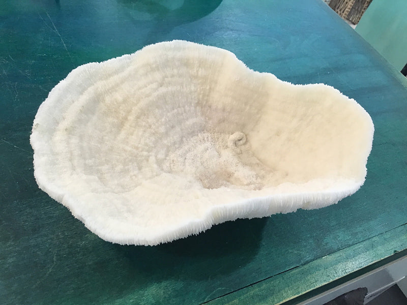 Vintage White Bowl Coral- 9.5"
